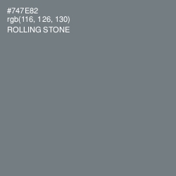 #747E82 - Rolling Stone Color Image